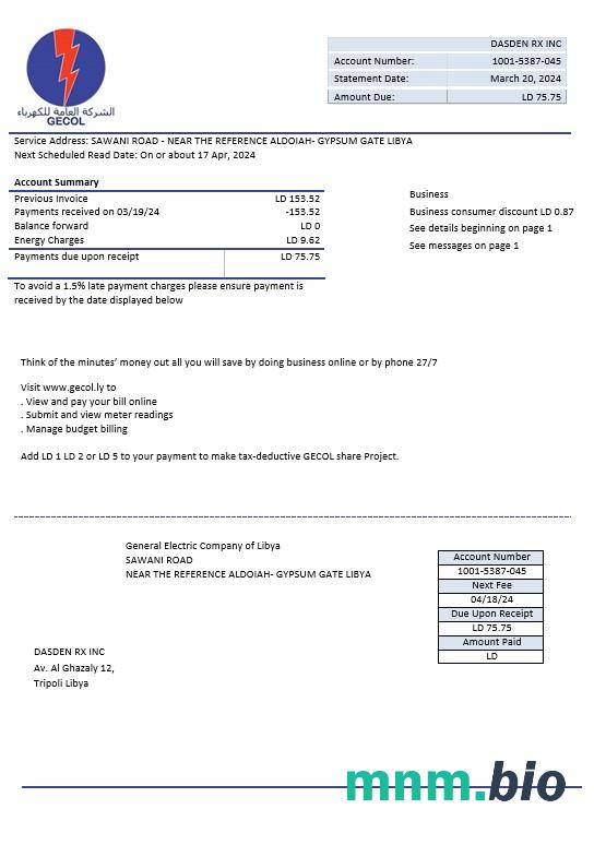 Libia General Electric Company electricity rachunek za usługi komunalne szablon w formacie Word i PDF